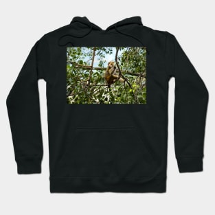 Planet Monkey Jungle Wildlife Hoodie